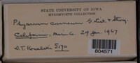 Image Associated With the Occurence